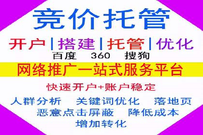 SEM竞价代运营实战技巧与案例